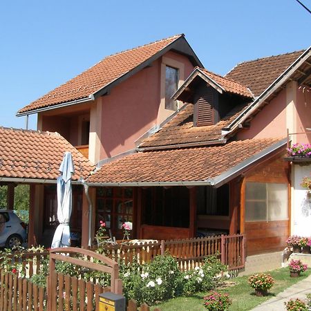 Guesthouse Tadic Guča Exterior foto