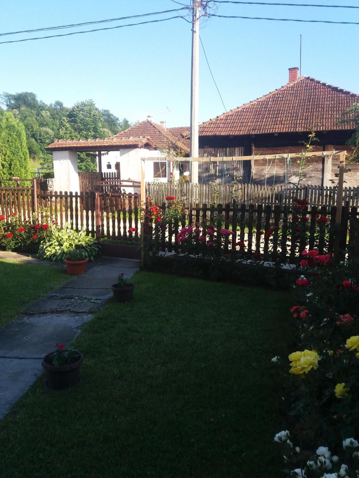Guesthouse Tadic Guča Exterior foto