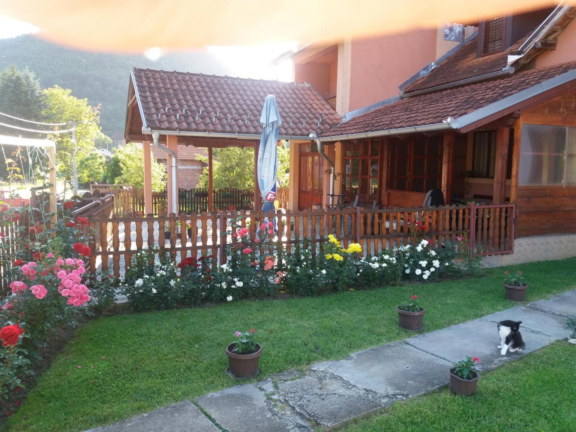 Guesthouse Tadic Guča Exterior foto